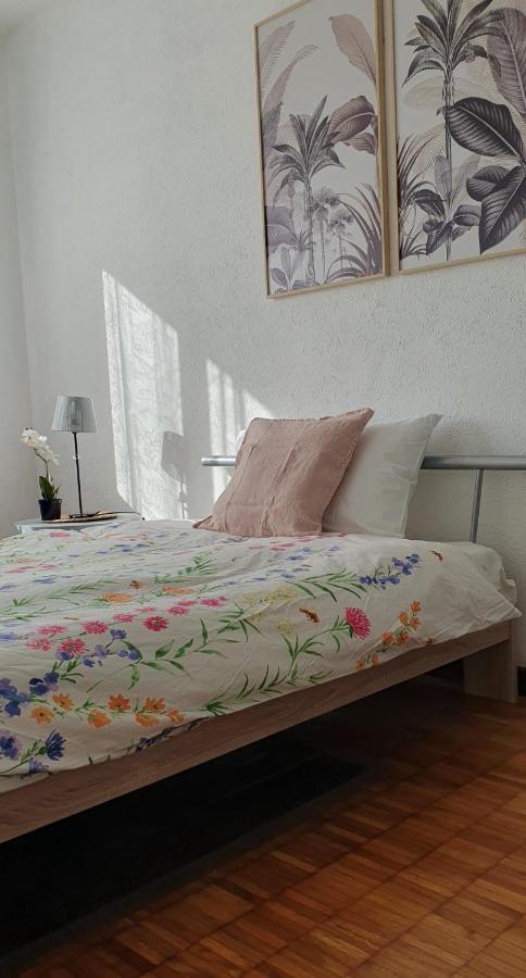 Charming Penthouse Near Como Lake Chiasso Eksteriør bilde